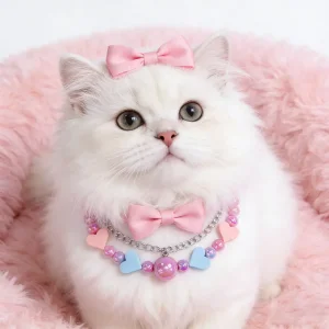 Discount Valentine’s Day Beaded Pet Necklace