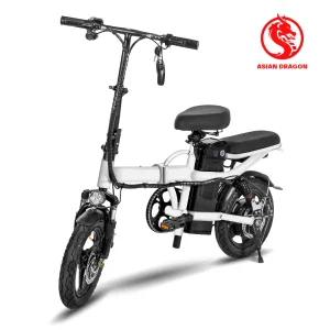 China Mini Foldable Electric Bike