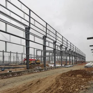 Multi Span Industrial Steel Structure Storage Building for Logistics