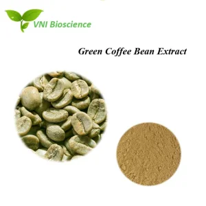 Certificado Kosher e Halal 100% Ácido Clorogênico Natural 70% 30% Extrato de Grão de Café Verde