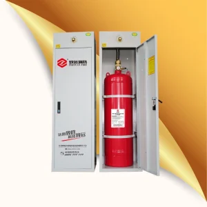Dual Door FM200 Fire Extinguishing Cabinet