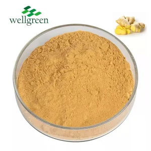 Instant Ginger Powder
