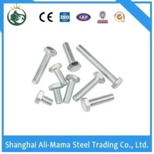 Stainless Steel Nut Construction Fastener Grade 4.8/8.8/10.9/12.9