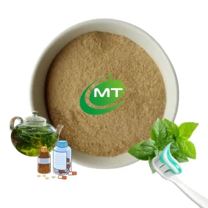 Muestra gratuita de extracto en polvo de menta natural y fragante para claridad cognitiva