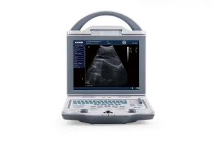 Veterinary Ultrasonic Diagnostic Instrument for Comprehensive Pet Clinic Use