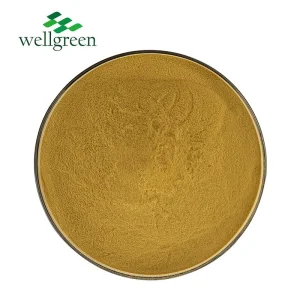 20% Oleuropein Olive Leaf Extract Powder for Dietary Supplement and Nutraceutical Use