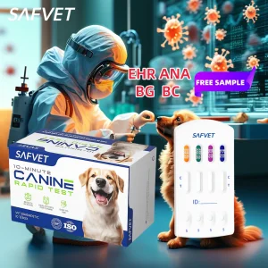 Veterinary Babesia Canine Diagnostic BG BC Test Pruebas Babesia Bab Gibsoni Ab Caballi Antibody In Dog Diagnosis Rapid Test Kit