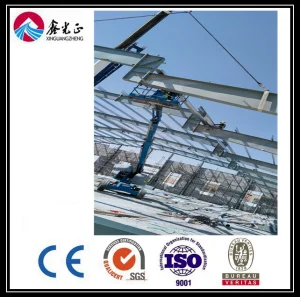 Best Design Low Cost Steel Structure Farm Storage (BYSS-220521015)