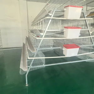 Galvanized Layer Chicken Cages Products Plans for 5000 Birds