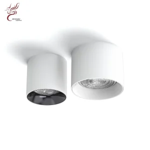 Aluminum Round Surface Mount LED Downlight, White Cylindrical LED Spotlight, AC220V Commercial Indoor Ceiling Lighting Lamp