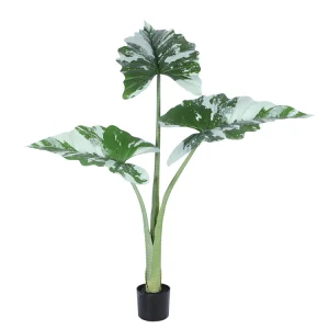 Plastic Foliage Topiary Natural Trunk Handmade Artificial Alocasia Cucullata Tree
