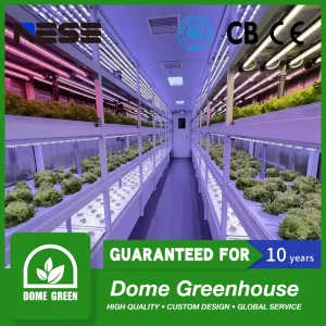 Fazenda Contêiner com Sistema Hidropônico para Agricultura Vertical Urbana