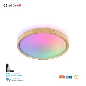 TUYA WIFI Smart LED Ceiling Light