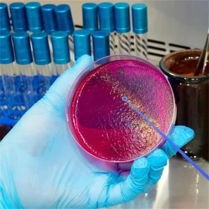 Laboratory Disposable Plastic Sterile Inoculating Loop Inoculum 1UL 10UL Inoculation Loop