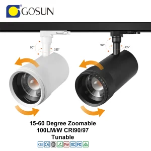 Mendoza Zoomable Track Light
