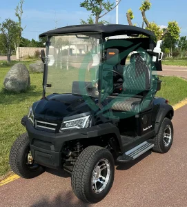 New Design 2 Seat Electric Golf Carts
