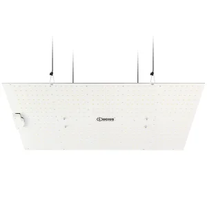 240W Full Spectrum Panel Quantum LED Grow Light Board for Indoor Plant