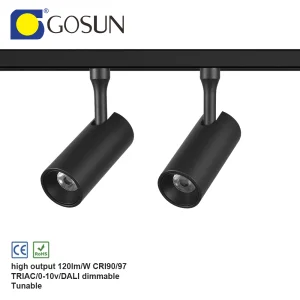 Double Head Suspended COB Led Lamp