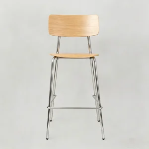 Stainless Steel Dining Chair
