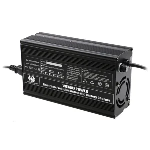 WEMAXPOWER E Rickshaw Battery Charger