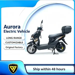 Wholesale Cargo Rear Box Adult Electric Scooter