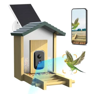 Bird Feeder