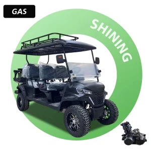 Shininglsv New 6 Golf Carts Gas Powered