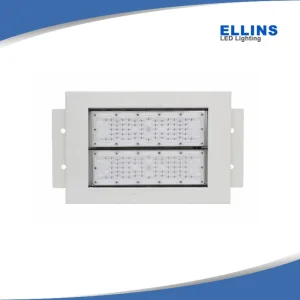 Waterproof IP66 Outdoor Ceiling Luminaires High Performance LED Canopy Lighting Fixtures 100W