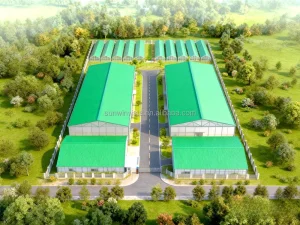 Steel Structure Industrial Farm Building Agricultural Structure for Chicken House Farm House and Livestock Animal House