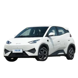 2025 High Quality Electric Byd Seagull Mini EV Car Long Range Vehicle The Popular Cars Loved by The Public