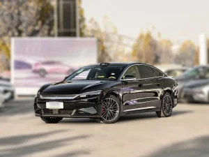 Coche Usado Han 2025 Edición