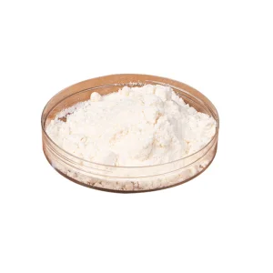 Organic Soy Milk Powder