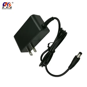 12V 1A Charger