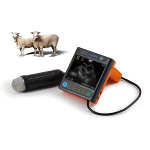 Ultrasonido Ganado Caballo