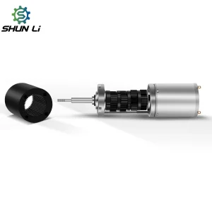 28mm 12v Dc Planetary Geared Motor 60 Rpm 24v Brushed 385SP DC Motor