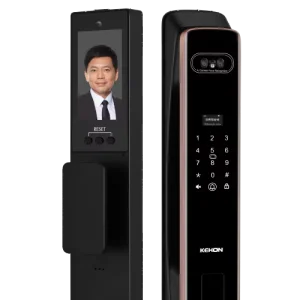 Facial Recognition Lock Spain