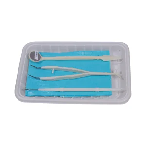 Kit de Examen Dental Desechable Kit de Instrumentos Dentales para Cuidado Dental