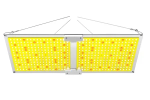Quantum Board-Q 240W