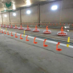 Low Price Poultry Ground Floor Raising Equipment For Broilers With Automatic Feeding System