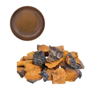 Chaga Mushroom Extract Powder