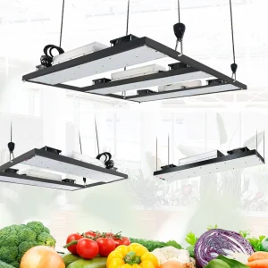 Dimmable Greenhouse LM301H 240 Watt LED Grow Light Full Spectrum 3500K UV IR Red LED Grow Light Board
