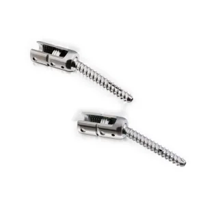Thoracolumbar Posterior Fixation System