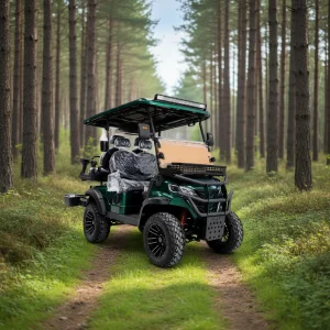 Eco Friendly 4 Seater Electric Golf Cart