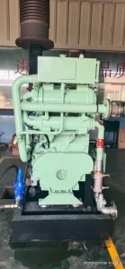 350kw مولد ديزل رئيسي بحري من كامينز مع Kta19-Dm محرك للسفينة