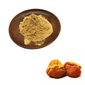 Hericium Erinaceus Mushroom Extract