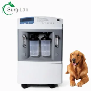 10L Hospital Concentrator