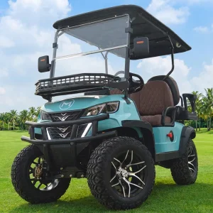 Sightseeing and Off-road Cart