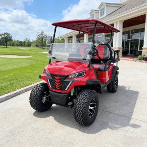 WOLAN Original Factory 4 Seater Utility Golf Cart with Heavy Load Capacity and Storage for Industrial