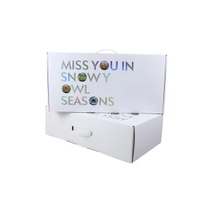 Recycled Mailer Box