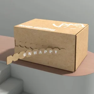 Corrugated Paper Box Packaging Cardboard Craft Corrugated Brown Zipper Box with Zipper Tear Strip